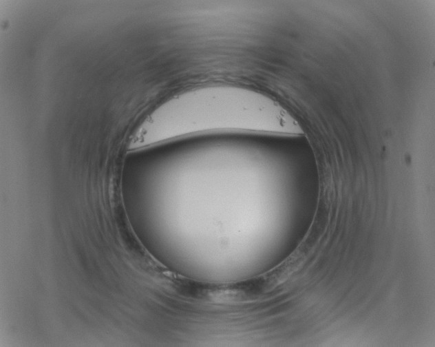 X0000077980268200610270925