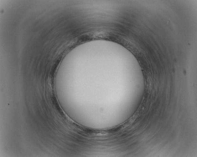X0000077980506200610270921