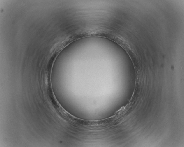 X0000077980740200610270917