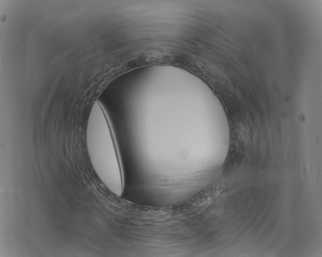 X0000077980914200610270914