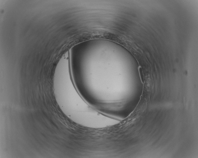 X0000077980916200610270914