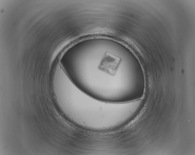 X0000077981069200610270912