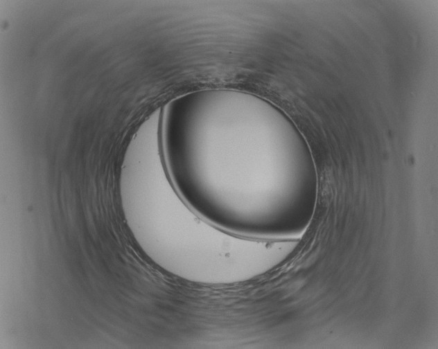X0000077981202200610270909