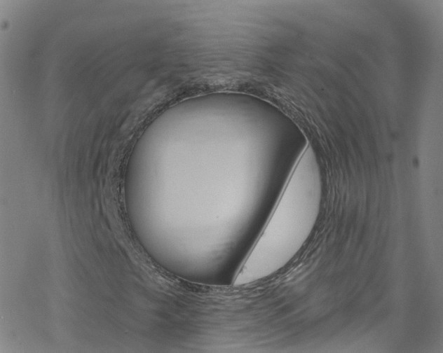 X0000077981249200610270909