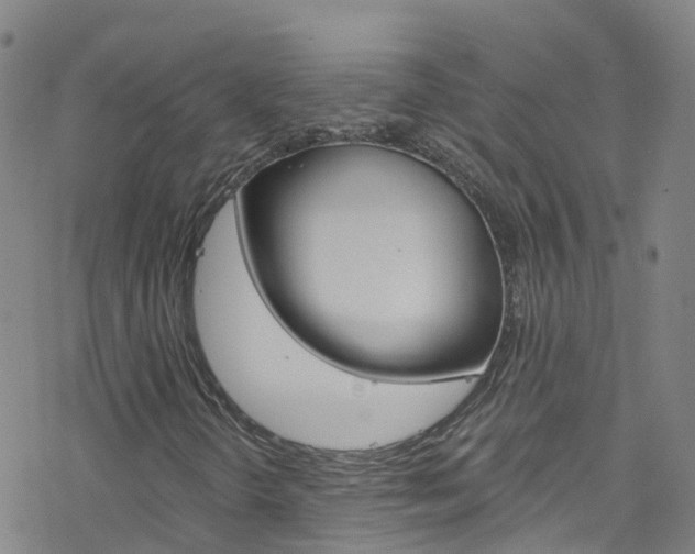 X0000077981298200610270907
