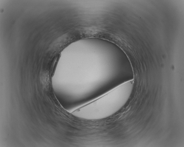 X0000077981299200610270908