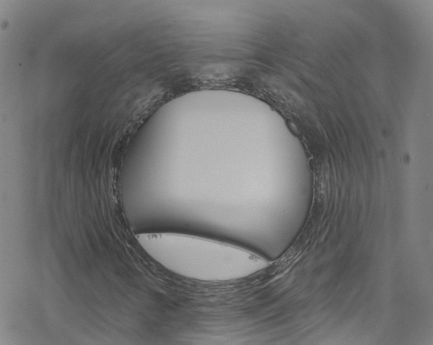 X0000077981346200610270907