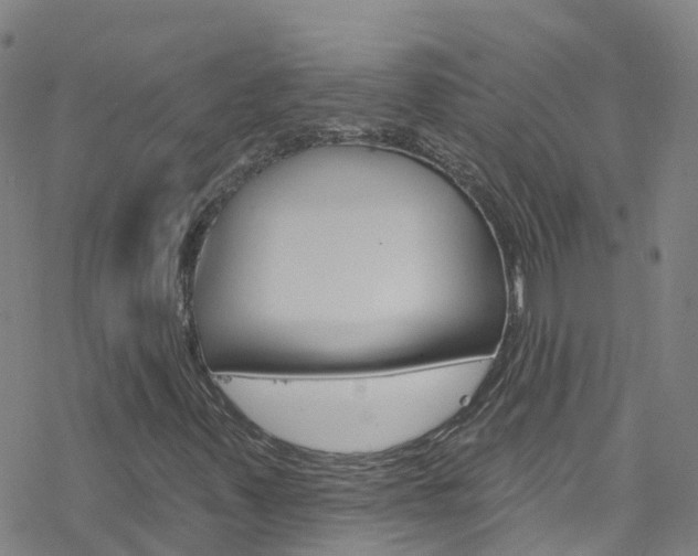 X0000077981347200610270907