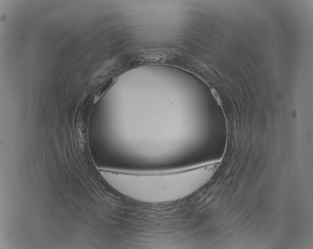 X0000077981394200610270906