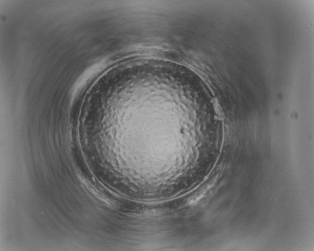 X0000077980149200610271208