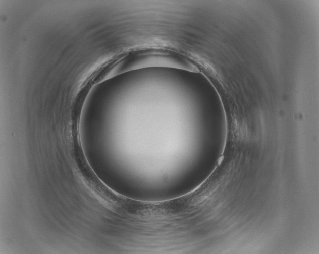 X0000077980535200610271202