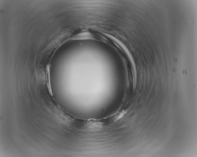 X0000077980617200610271201