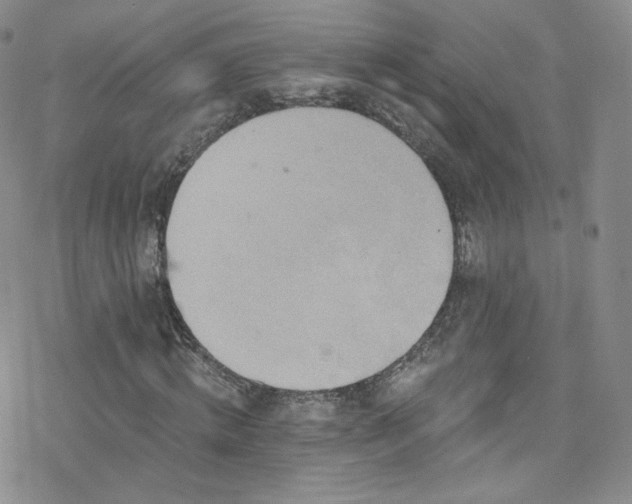X0000077980820200610271157