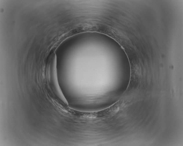 X0000077980914200610271155