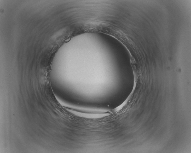 X0000077980964200610271155