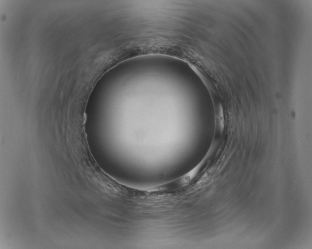 X0000077981153200610271152