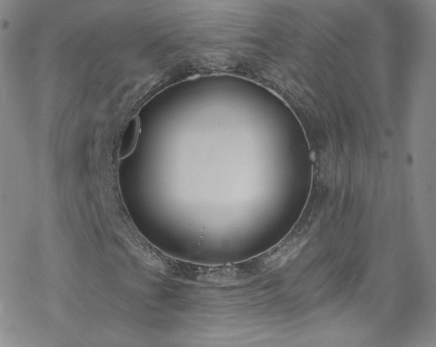 X0000077981201200610271151