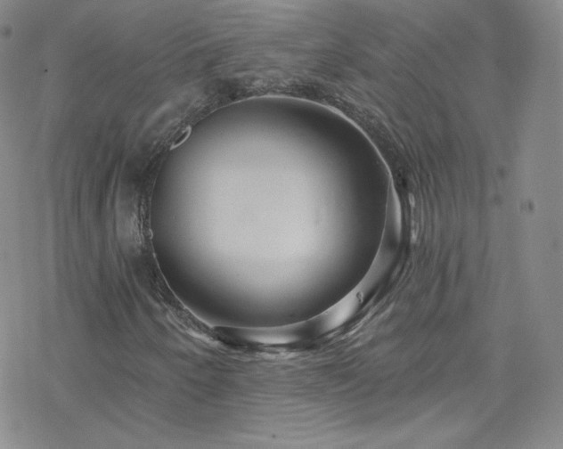 X0000077981250200610271151