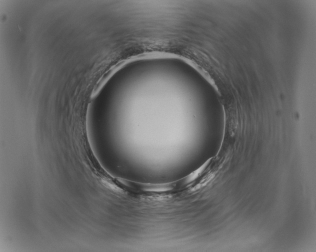 X0000077981345200610271149