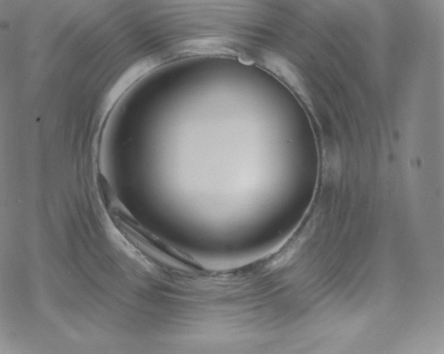 X0000077981386200610271148