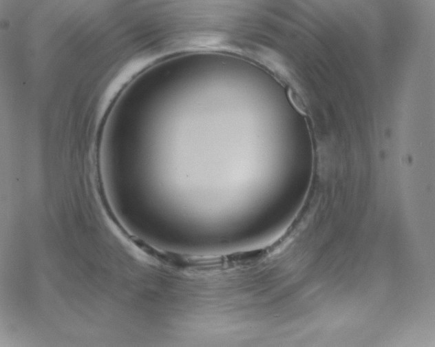 X0000077981432200610271148