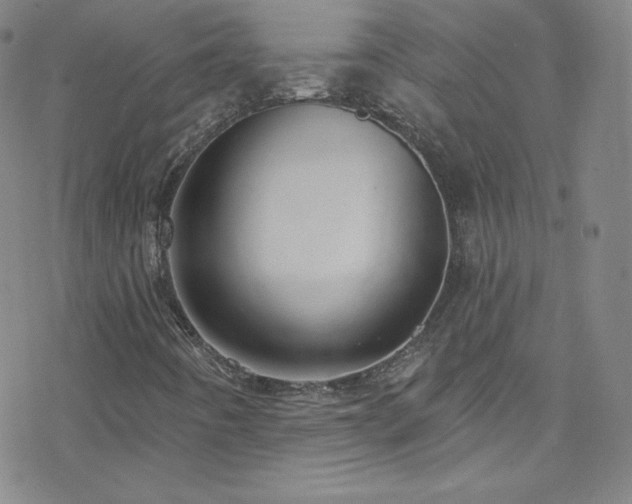 X0000077981442200610271147