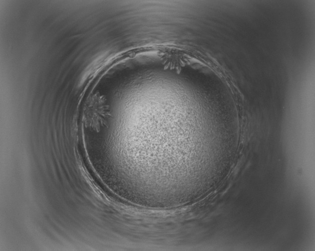 X0000077980002200611031411