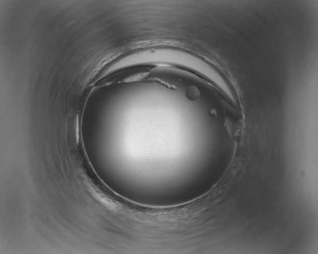 X0000077980013200611031411