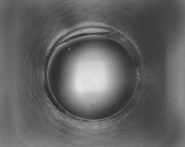 X0000077980015200611031411