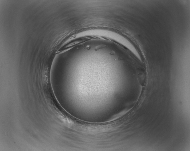 X0000077980017200611031411