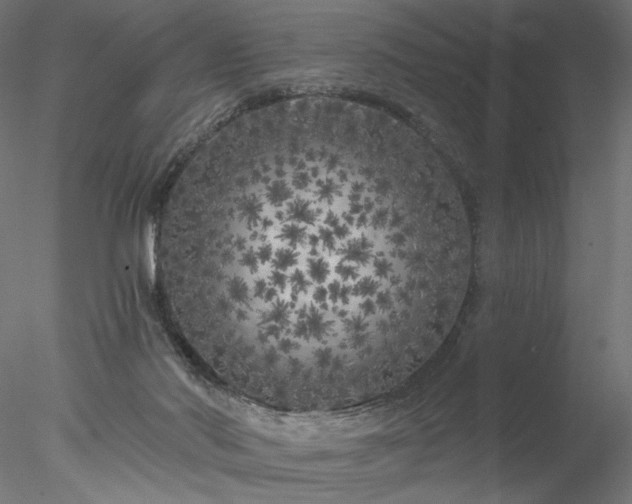 X0000077980022200611031411