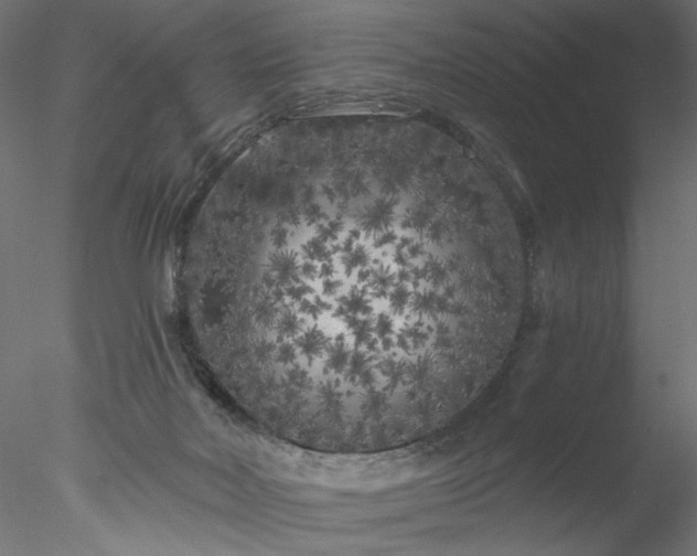 X0000077980026200611031411