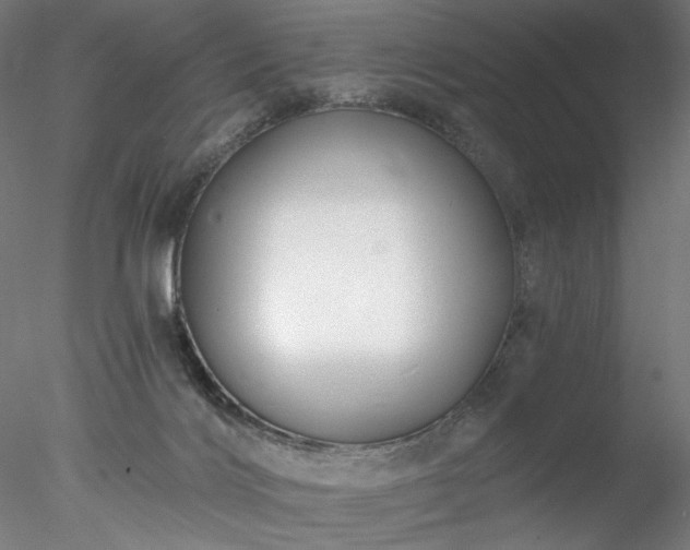 X0000077980028200611031411