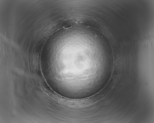 X0000077980030200611031411