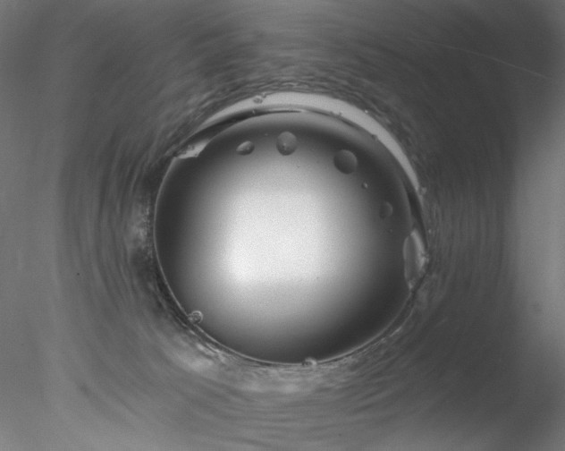 X0000077980033200611031411