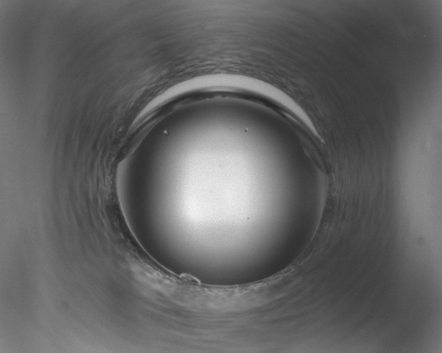 X0000077980037200611031411