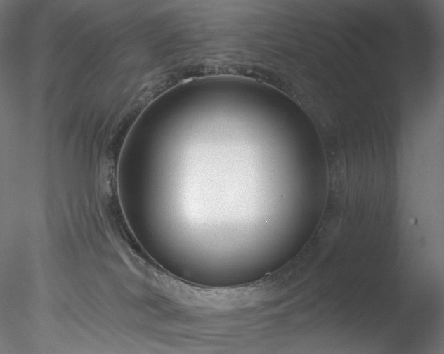 X0000077980038200611031411