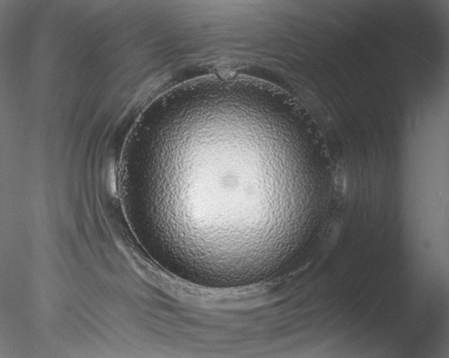 X0000077980046200611031411