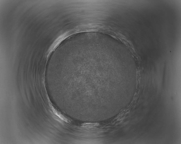 X0000077980051200611031410