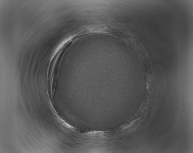 X0000077980052200611031410