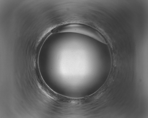 X0000077980060200611031410