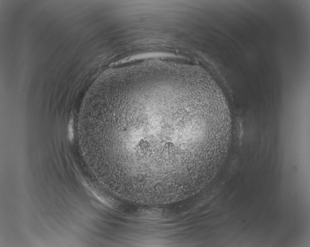 X0000077980069200611031410