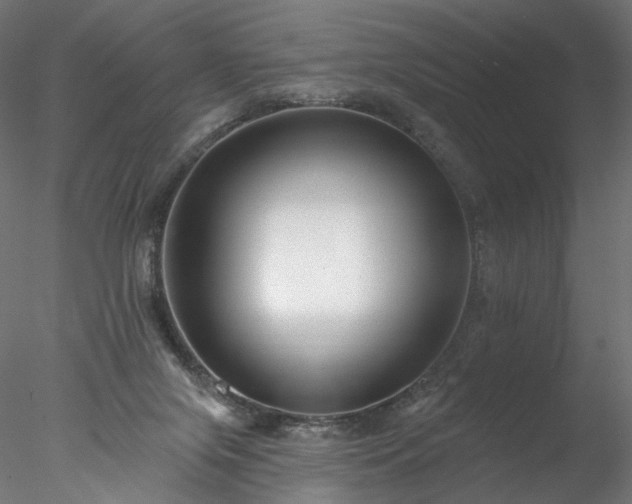 X0000077980071200611031410