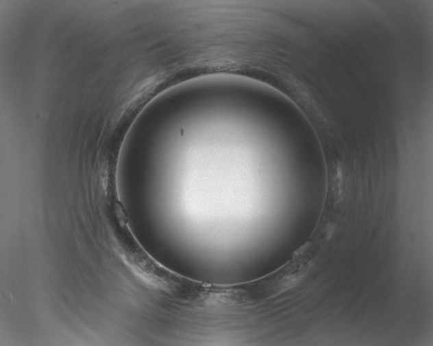 X0000077980072200611031410