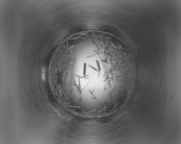 X0000077980075200611031410