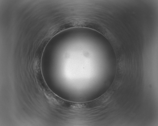 X0000077980079200611031410