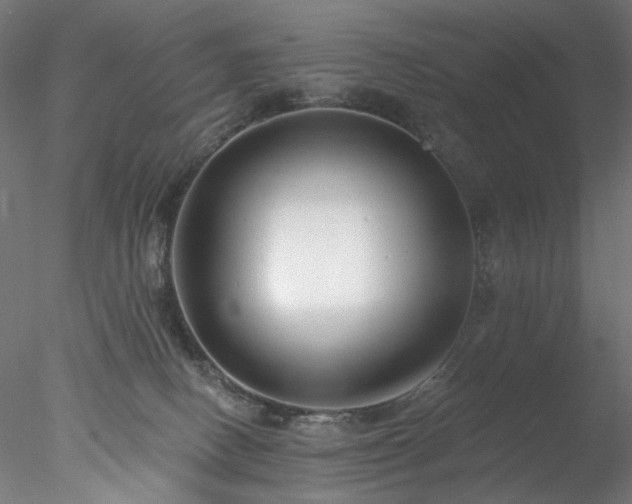 X0000077980082200611031410