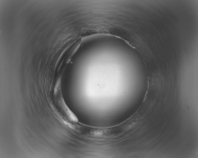 X0000077980084200611031410