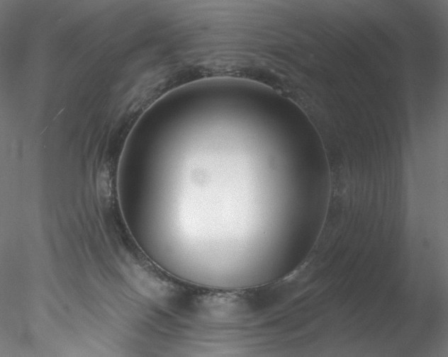 X0000077980086200611031410