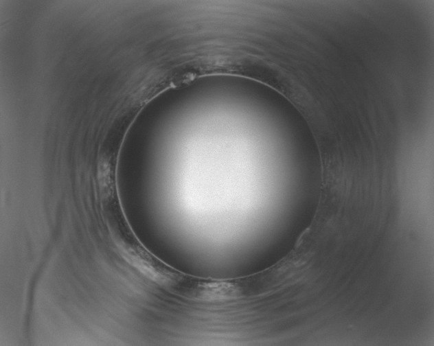 X0000077980087200611031411